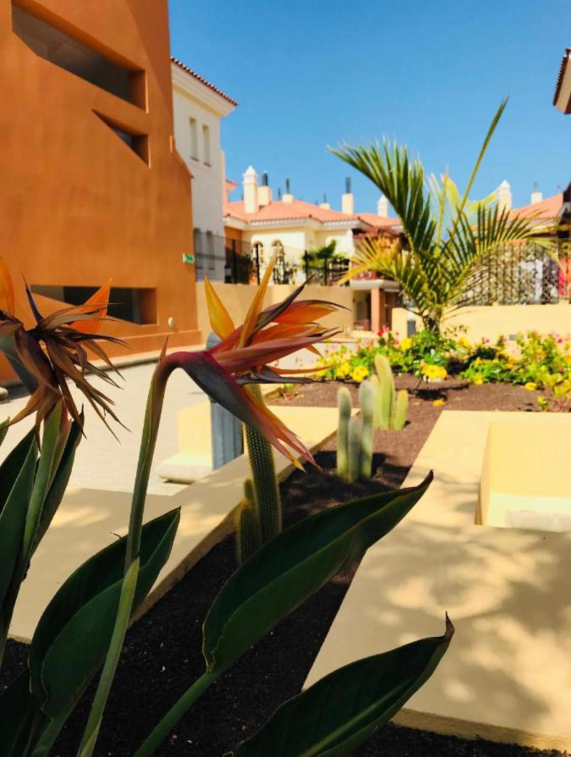 Апартаменты Selena Luxury Monte Carrera Ла-Плайя-де-Арнегин Экстерьер фото